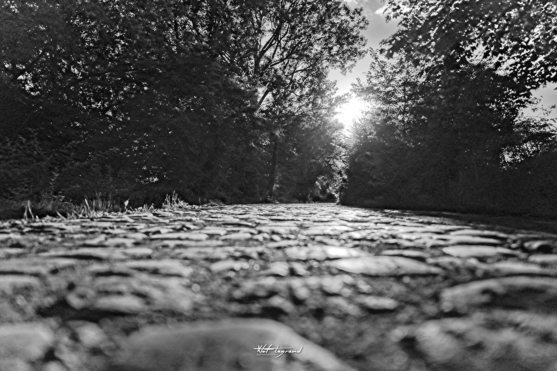 Reflets sur les pavés | Xtof-Photographie