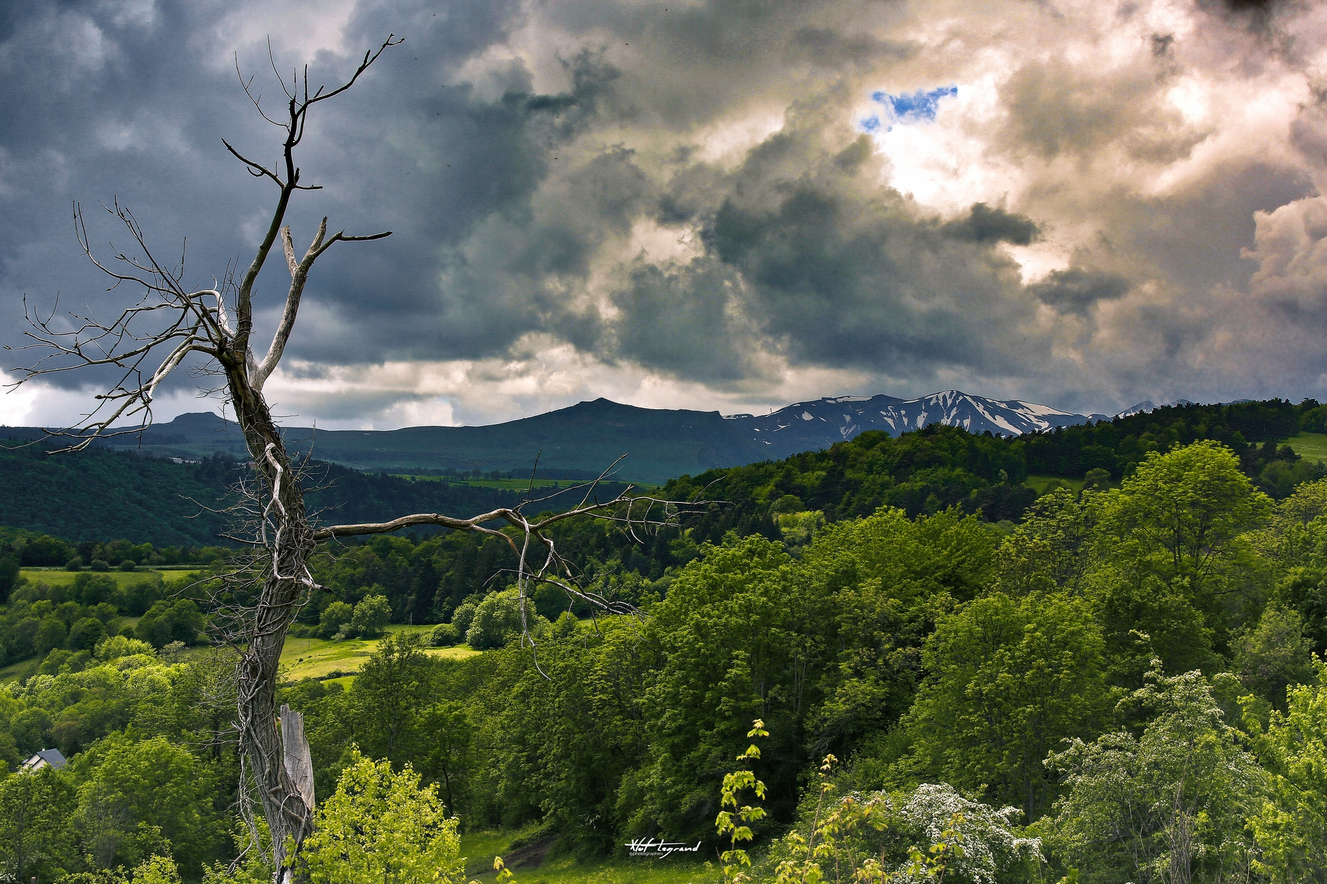 L'arbre solitaire | Xtof-Photographie