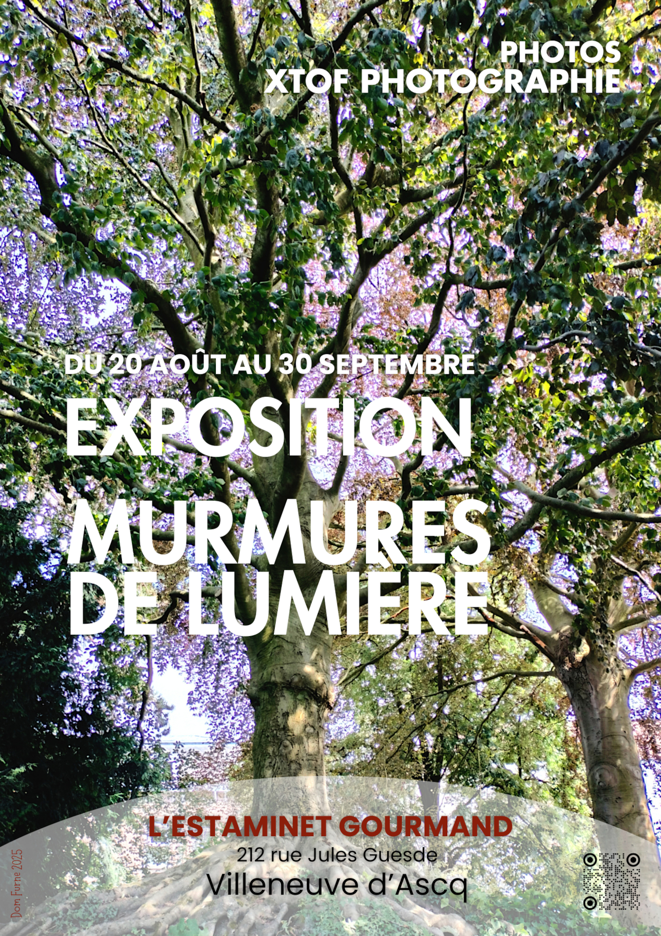 Murmures de lumière