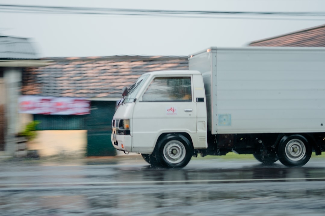 Servicio profesional de vaciado de inmuebles en Malgrat de Mar
