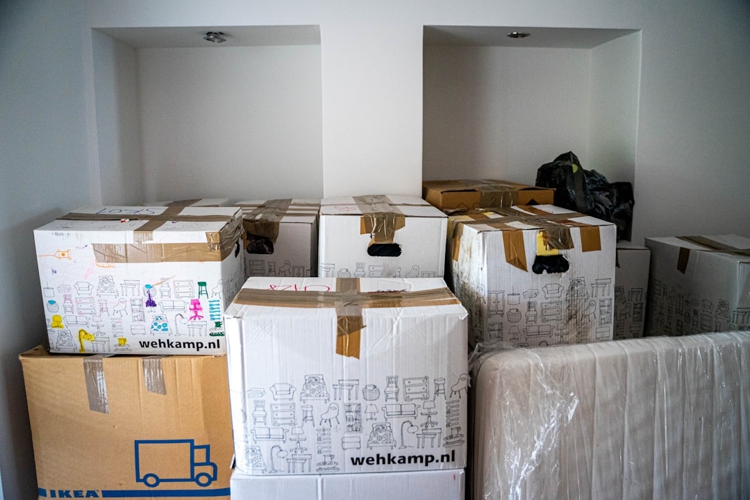 Servicio profesional de vaciado de inmuebles en Canovelles