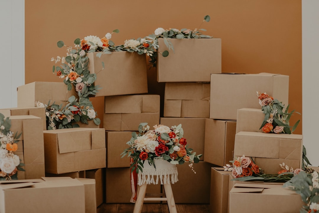 Servicio profesional de vaciado de inmuebles en Ripollet