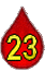 23