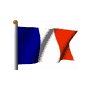 Bandiera francese