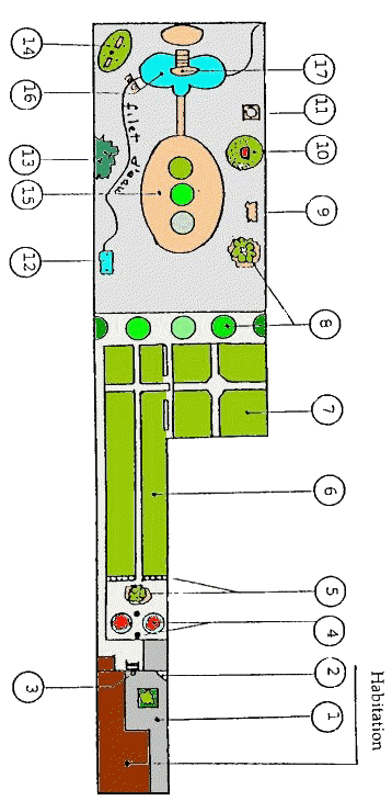 il giardino di F. Crombette