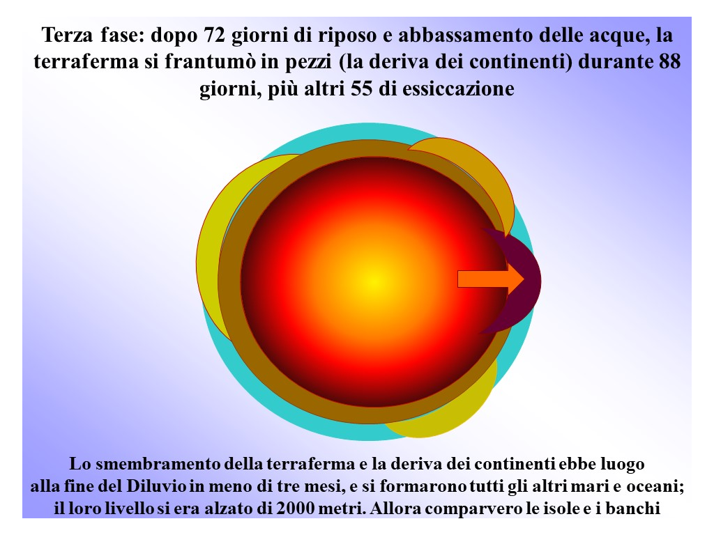 Diapositiva8