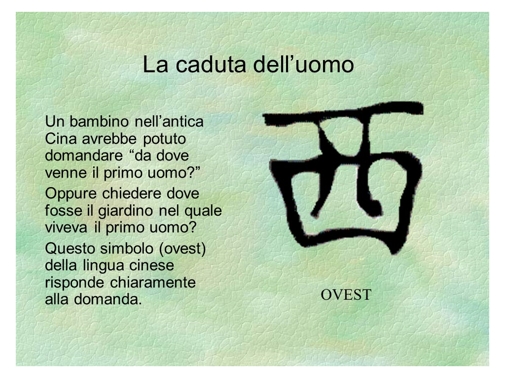 Diapositiva19