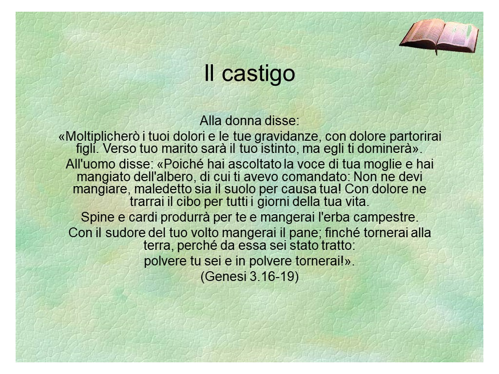 Diapositiva31