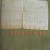 Lettera dei cardinali a Pietro del Morrone (5/7/1294)