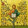 Gesù Cristo &quot;La vera Vite&quot;