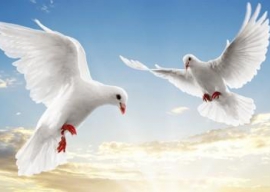 Settimo giorno di Novena di Pentecoste con riferimenti alle Opere di Maria Valtorta