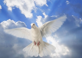 Domenica di Pentecoste con riferimenti alle Opere di Maria Valtorta