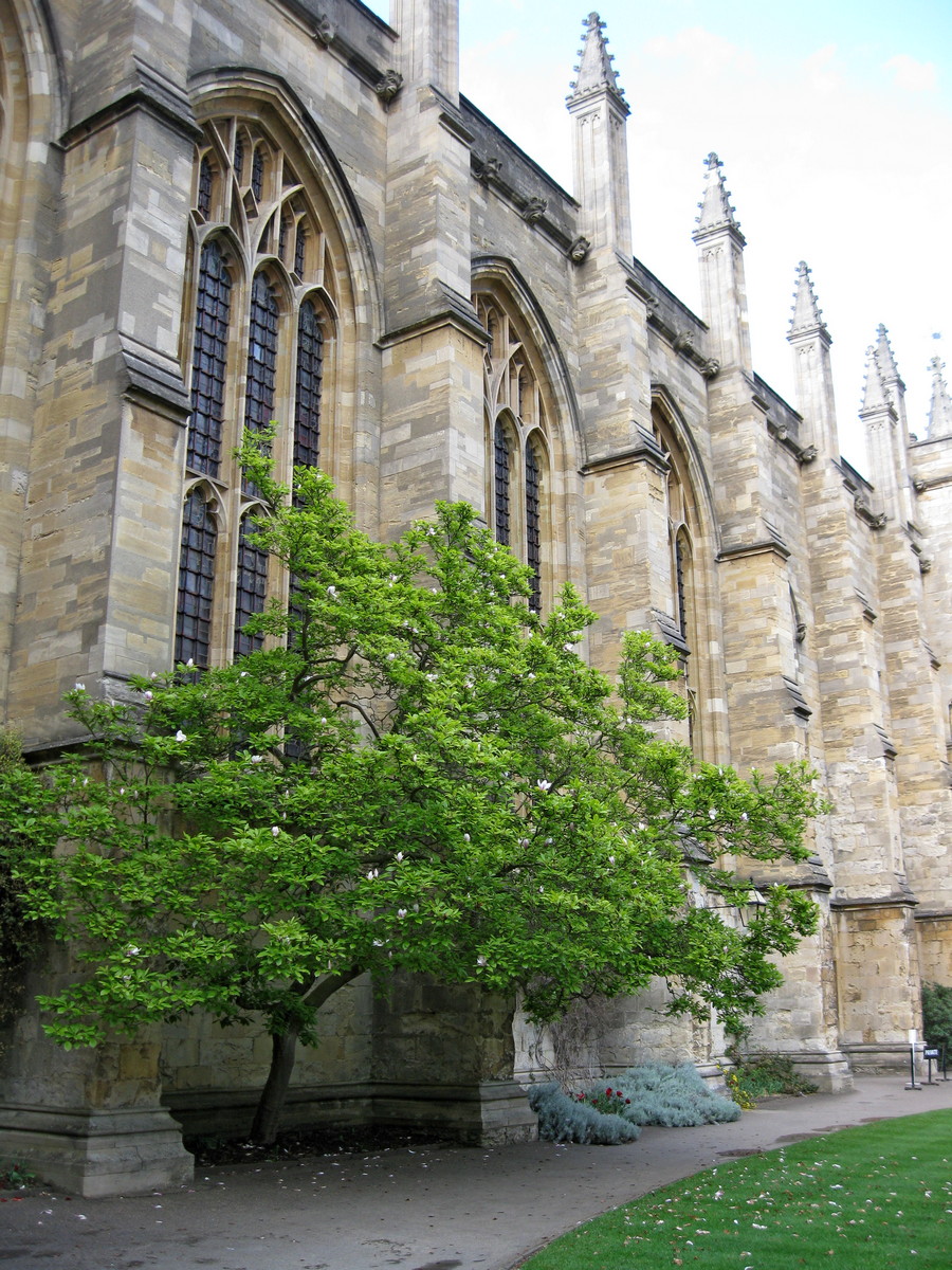 Oxford, New College Chapel