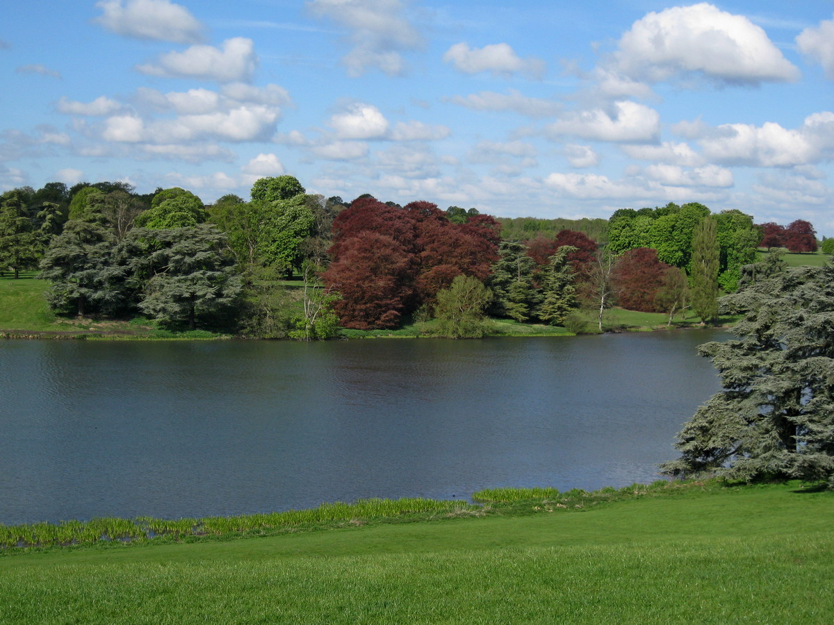 Blenheim Park