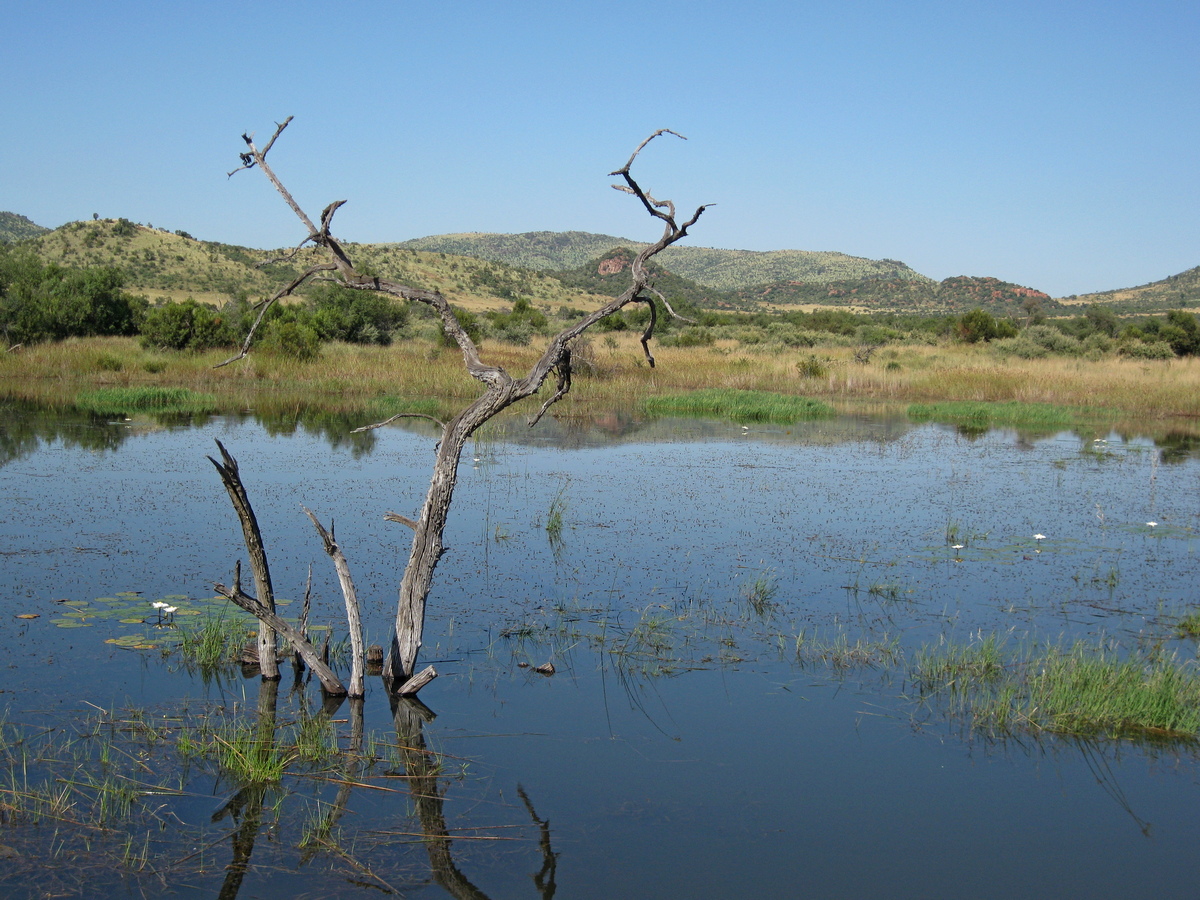 Pilanesberg, Mankwe Dam