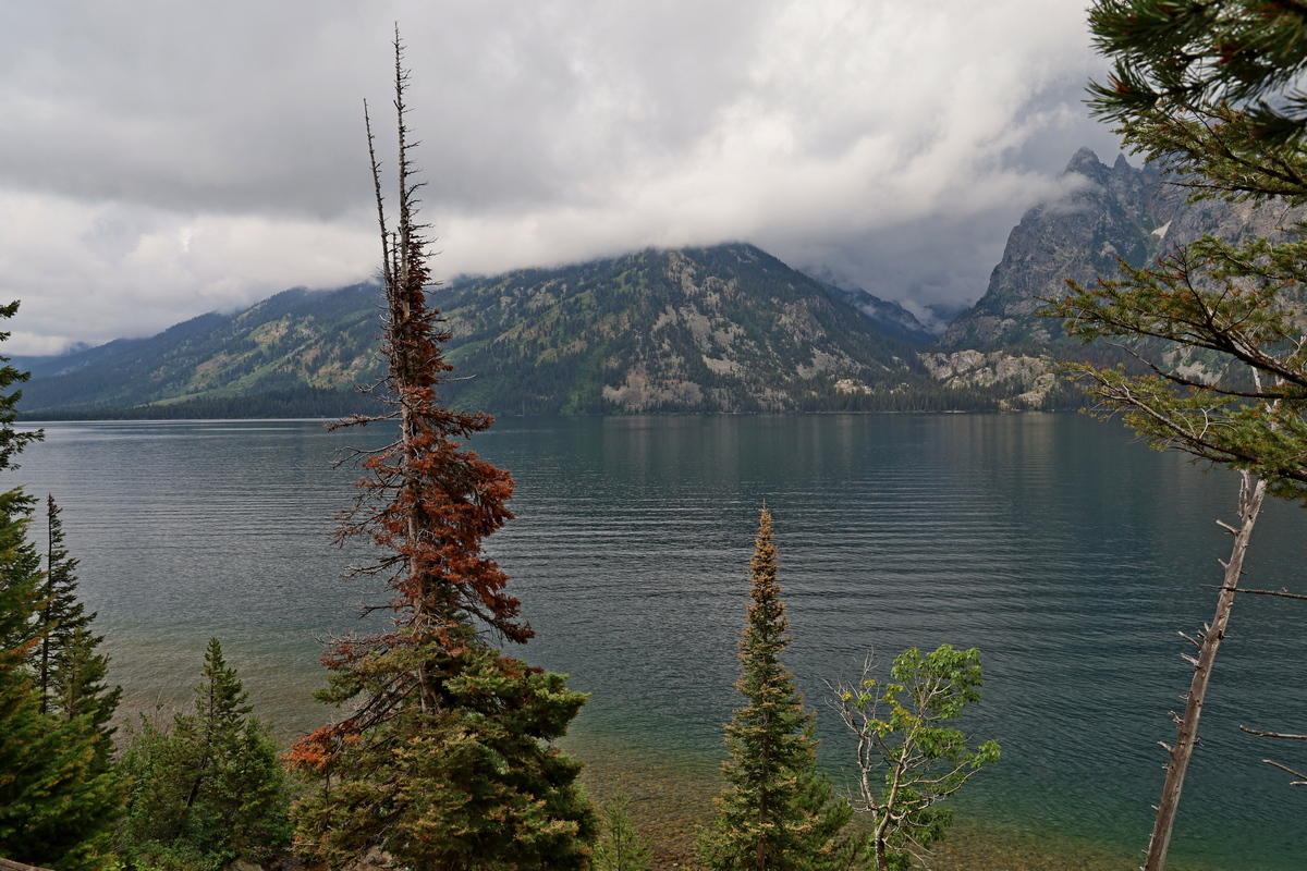 Jenny Lake, Grand Teton National Park