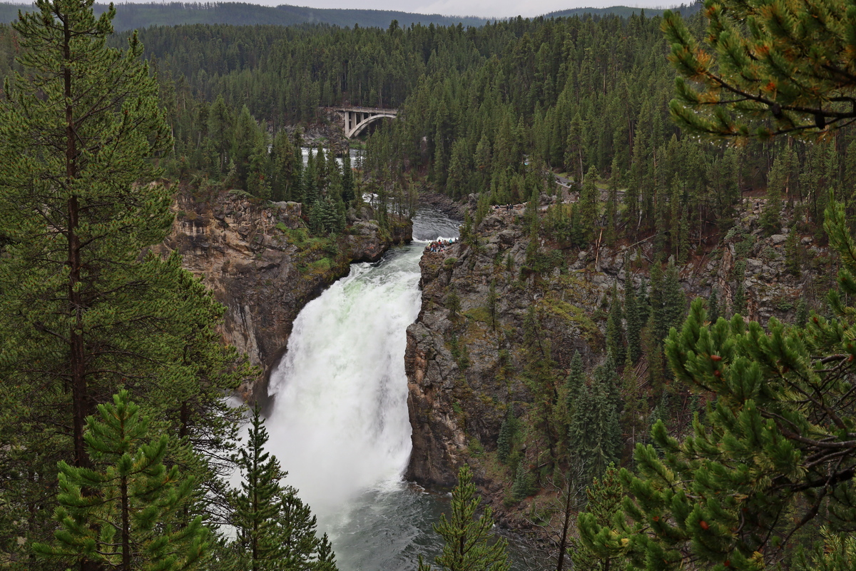 Upper Falls (bovenste watervallen) van de Yellowstone River