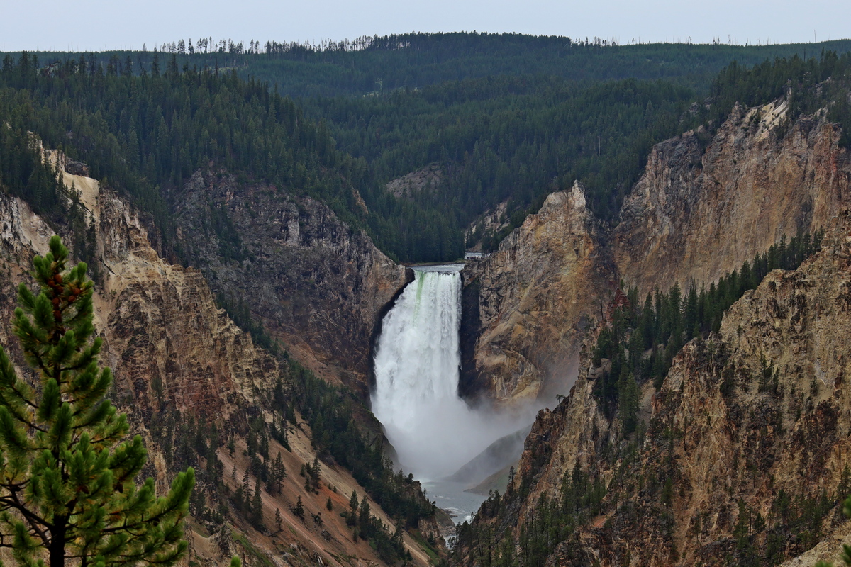 Lower Falls in de Yellowstone River