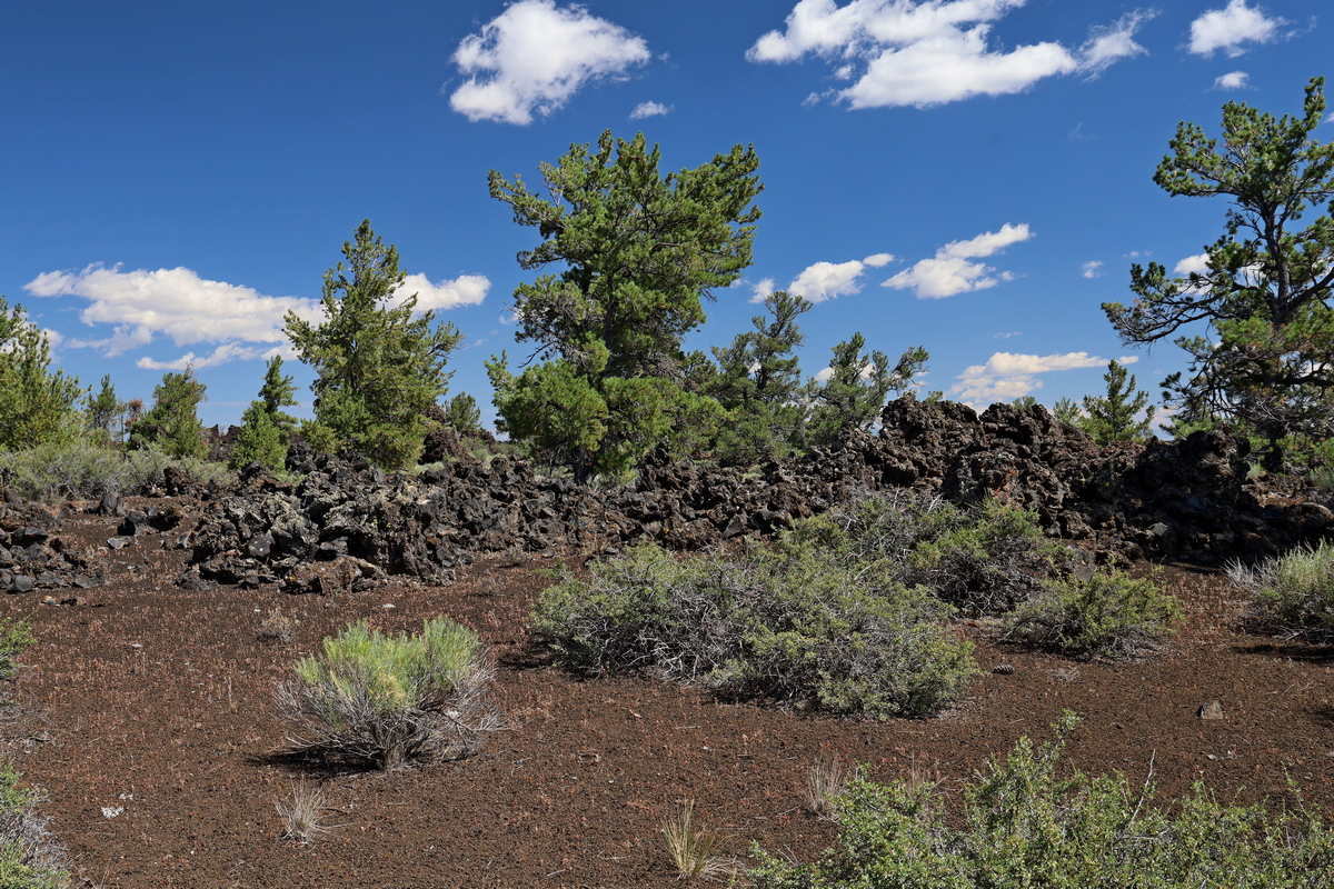 Devil's Orchard, Craters of the Moon Ntl. Monument