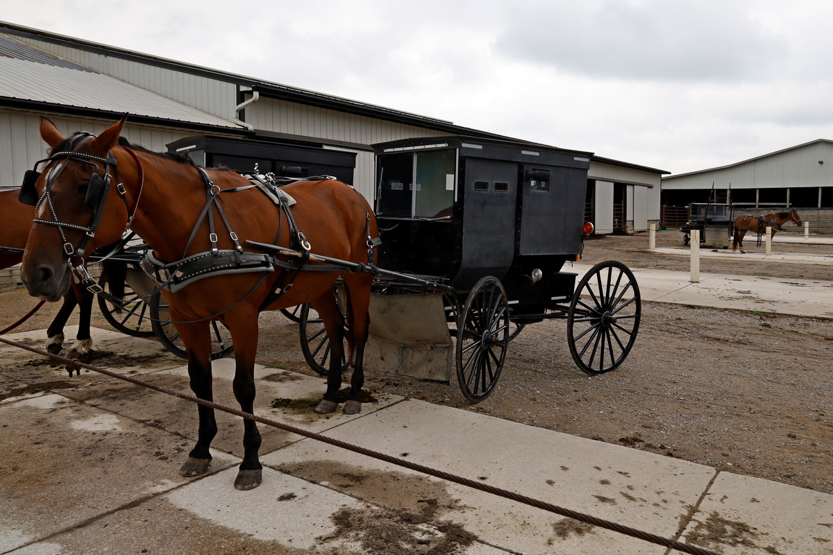 Amish buggy, geparkeerd bij de markt in Shipshewana
