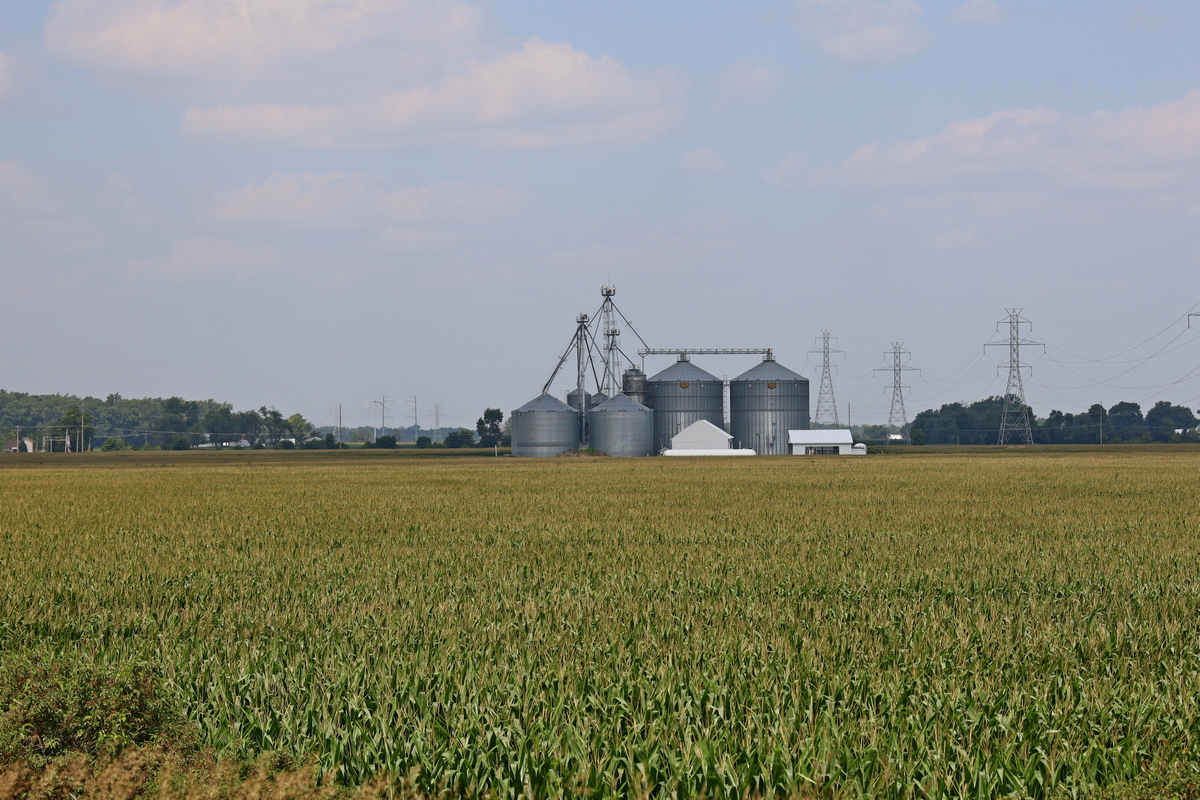 Silo's voor opslag van landbouwproducten staan overal in het landschap van Indiana