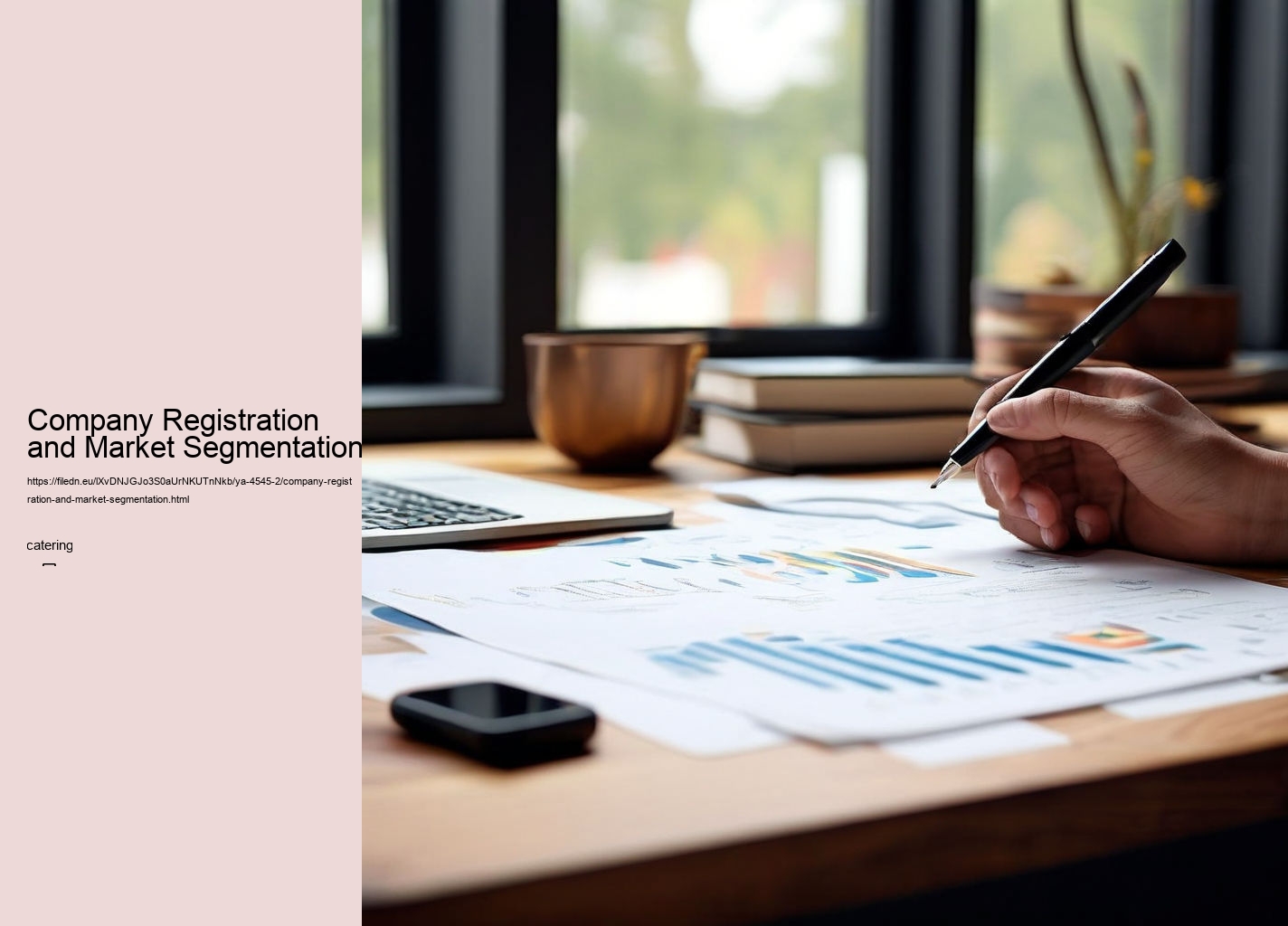 Company Registration and Market Segmentation