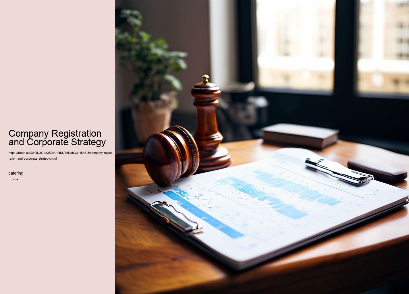Company Registration and Corporate Strategy