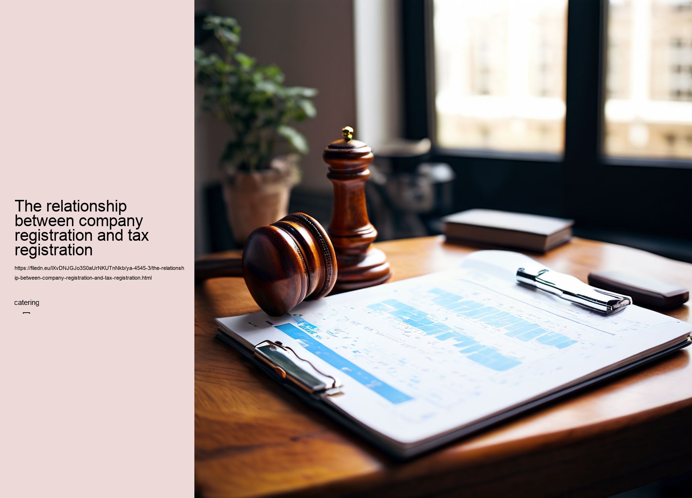 The relationship between company registration and tax registration