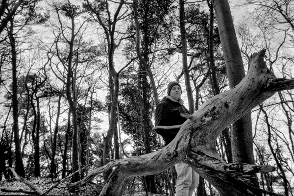 Zäsur by kls0e from the album nördlich von Lietzow on jasmund.org