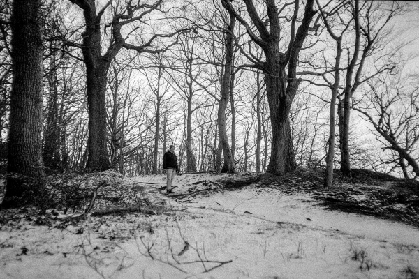 Christoffel Woodwalken by kls0e from the album nördlich von Lietzow on jasmund.org