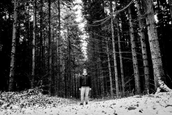 Flashy Hits II by kls0e from the album nördlich von Lietzow on jasmund.org