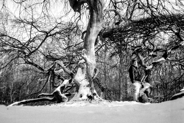 Guns - Patente - Frau, Wow, Wow by kls0e from the album nördlich von Lietzow on jasmund.org