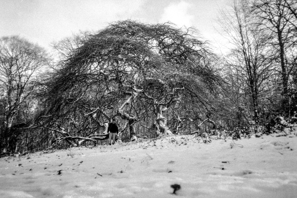 This is it by kls0e from the album nördlich von Lietzow on jasmund.org