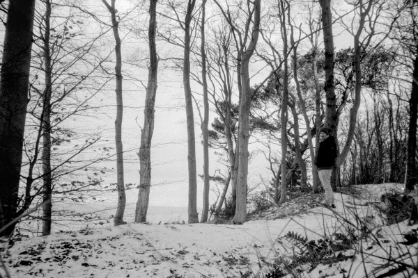 What is it by kls0e from the album nördlich von Lietzow on jasmund.org