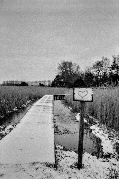  by kls0e from the album nördlich von Lietzow on jasmund.org