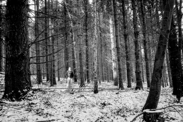 lit Golems in the Mist by kls0e from the album nördlich von Lietzow on jasmund.org