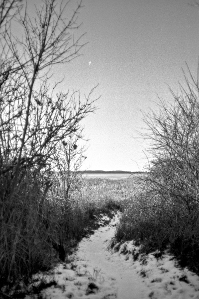 Du hast geluxt by kls0e from the album nördliches Boddenufer & Schaabe on jasmund.org