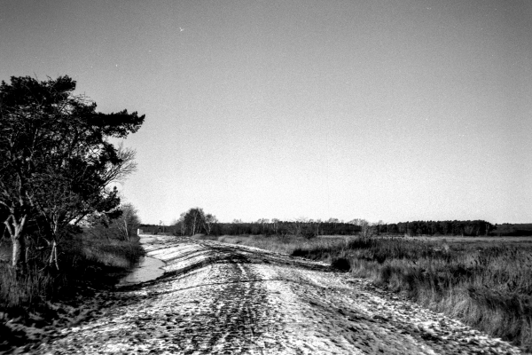 Eisdamm Frostwind - Klarheit by kls0e from the album nördliches Boddenufer & Schaabe on jasmund.org