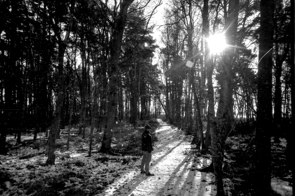 Glimpse by kls0e from the album nördliches Boddenufer & Schaabe on jasmund.org