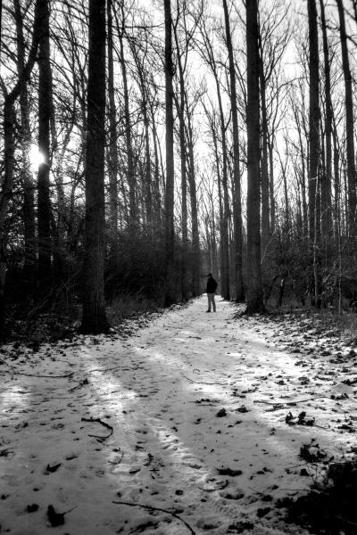 Haul (Saulus halt's Maulus) by kls0e from the album nördliches Boddenufer & Schaabe on jasmund.org