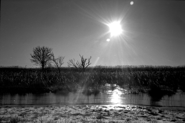 Kleinod II by kls0e from the album nördliches Boddenufer & Schaabe on jasmund.org