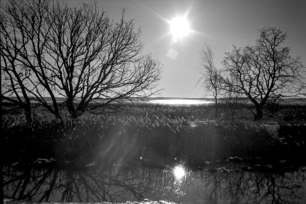 Kleinod by kls0e from the album nördliches Boddenufer & Schaabe on jasmund.org