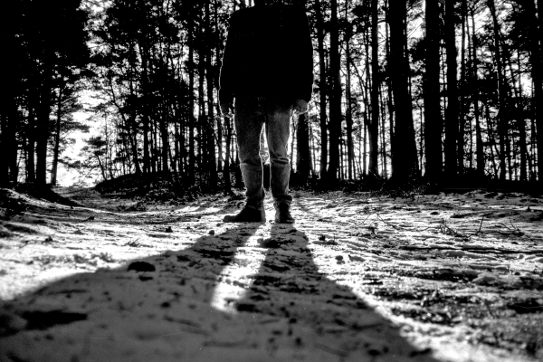 Leroy Jenkins by kls0e from the album nördliches Boddenufer & Schaabe on jasmund.org