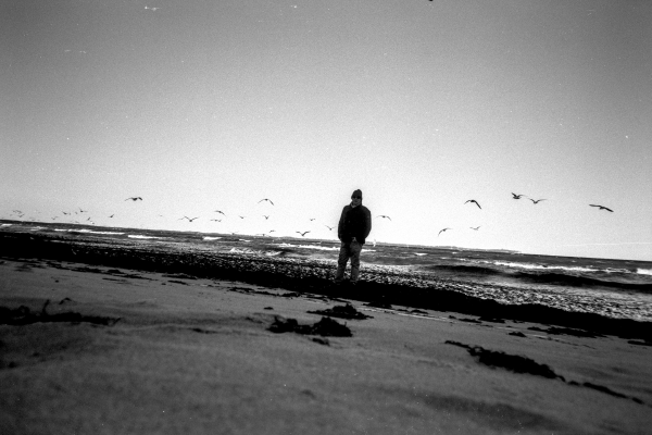 Möwenpic II by kls0e from the album nördliches Boddenufer & Schaabe on jasmund.org