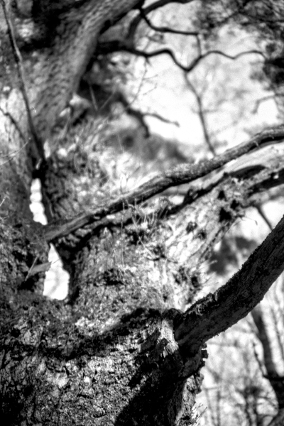 Macarones II by kls0e from the album nördliches Boddenufer & Schaabe on jasmund.org