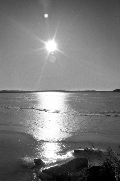 Resin by kls0e from the album nördliches Boddenufer & Schaabe on jasmund.org