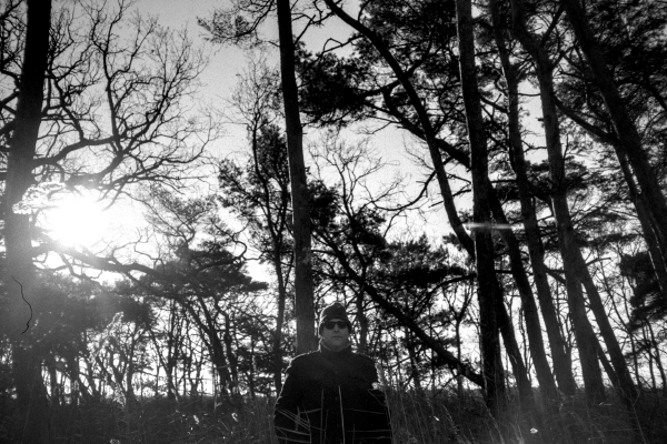 Set Dec by kls0e from the album nördliches Boddenufer & Schaabe on jasmund.org