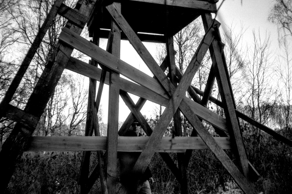 SysOp by kls0e from the album nördliches Boddenufer & Schaabe on jasmund.org