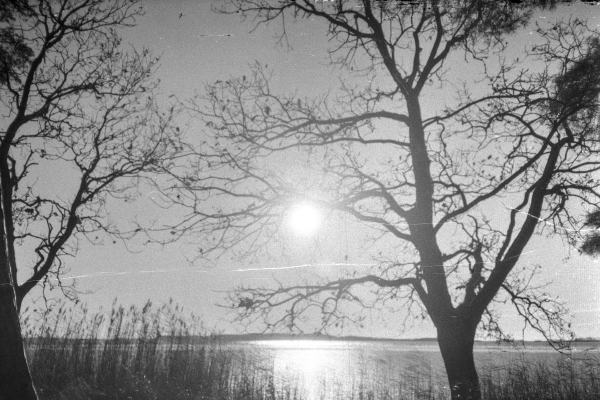 Um Gottes Willen III by kls0e from the album nördliches Boddenufer & Schaabe on jasmund.org