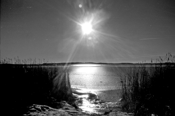 Um Gottes Willen II by kls0e from the album nördliches Boddenufer & Schaabe on jasmund.org